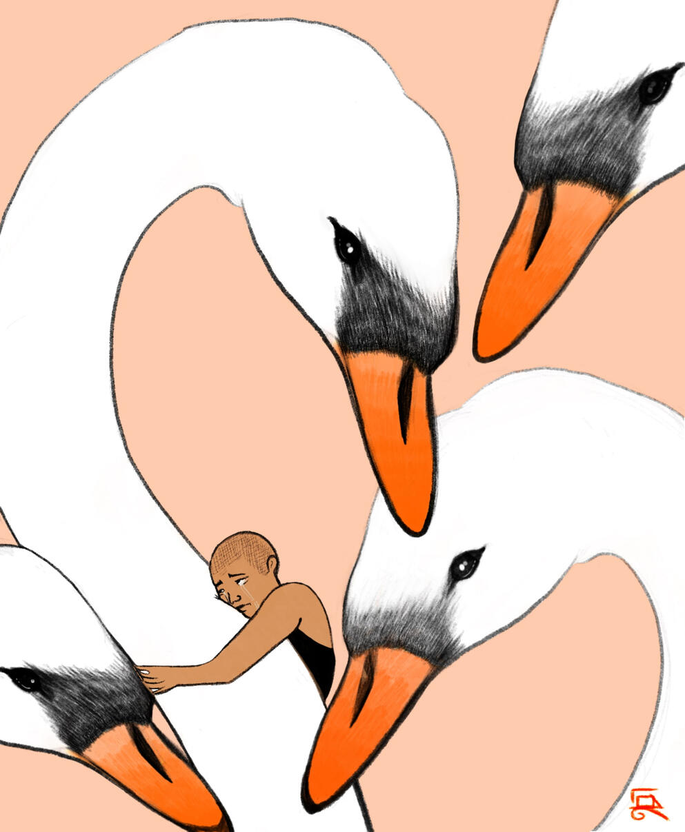 "74 Swans"